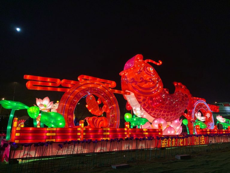 玉壺光轉，一夜魚龍舞